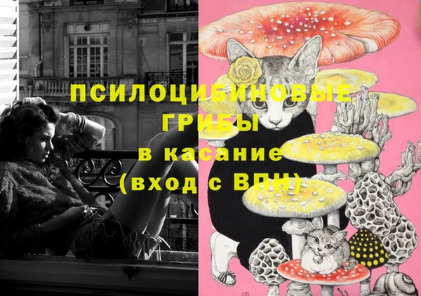 mdpv Корсаков