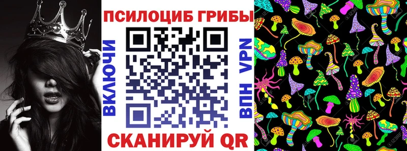 KRAKEN сайт  Урень  Псилоцибиновые грибы Cubensis 