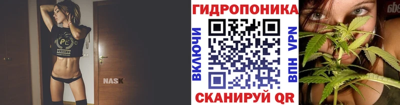 Каннабис семена  Урень 